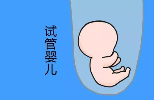 层流实验室